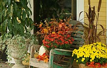 fall mums on porch
