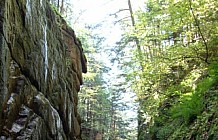 Flume Gorge