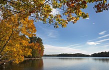 Maine Landscape