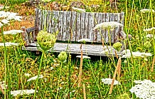 summer bench