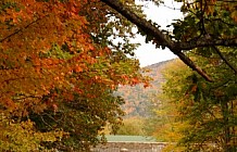 Stone Bridge