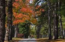 country road