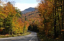Scenic Roadway