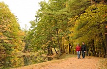 Mine Falls Park