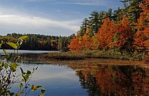 Lake In Autumn