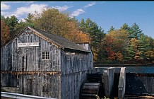 Taylor Saw Mill