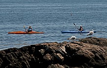 Summer Kayakers