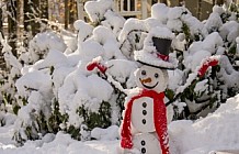 winter snowman