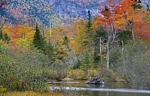 Mountain pond