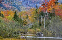 Mountain pond