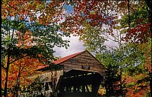 Albany Bridge