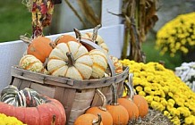 Fall Displays