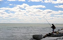 Fishing At The Coast