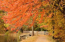 Mine Falls Park