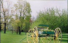 Antique Carriage