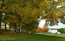 Fall Landscape