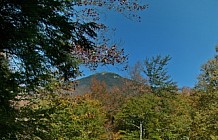 Pemigewasset Bridge