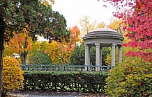 Autumn In A Park