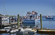 Boat Tours