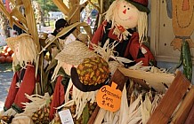 Farm Stand Fall Display