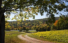 fall pasture