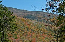Scenic Vista