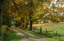 Scenic Footpath