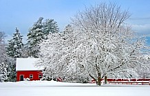 Red barns in winter