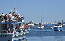 Boat Tours