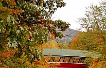 Covered Bridge