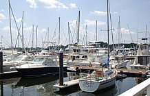 Wentworth Marina