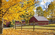 autumn farmhouse