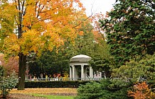 Autumn In A Park