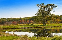 Maine Landscape