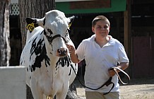 Deerfield Fair