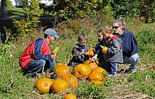 Pumpkin Shopping