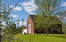 Spring Barn