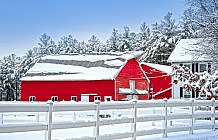 Red barns in winter