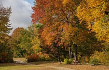 fall walking path