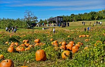 Fall pumpkins