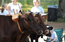 Deerfield Fair