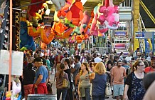 Fun at the fair