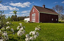 Spring Barn