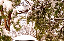 Park Gazebo Winter