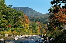 Mountain Stream