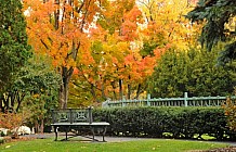 Autumn In A Park