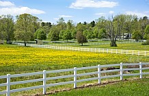 Horse Farm