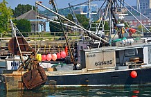 Fishing Boats