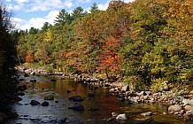 River With Fall Foliage