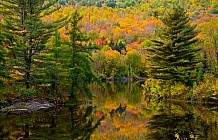 White Mountains